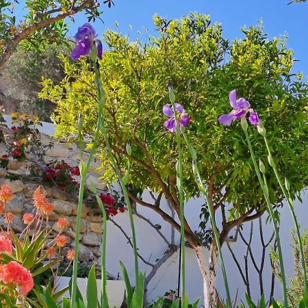 依拉佩特拉Arhondia House别墅 外观 照片